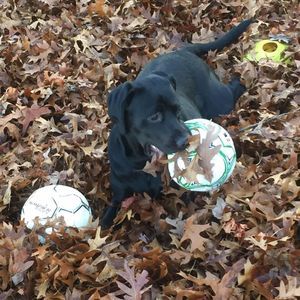 Meet your Posher, Nancy